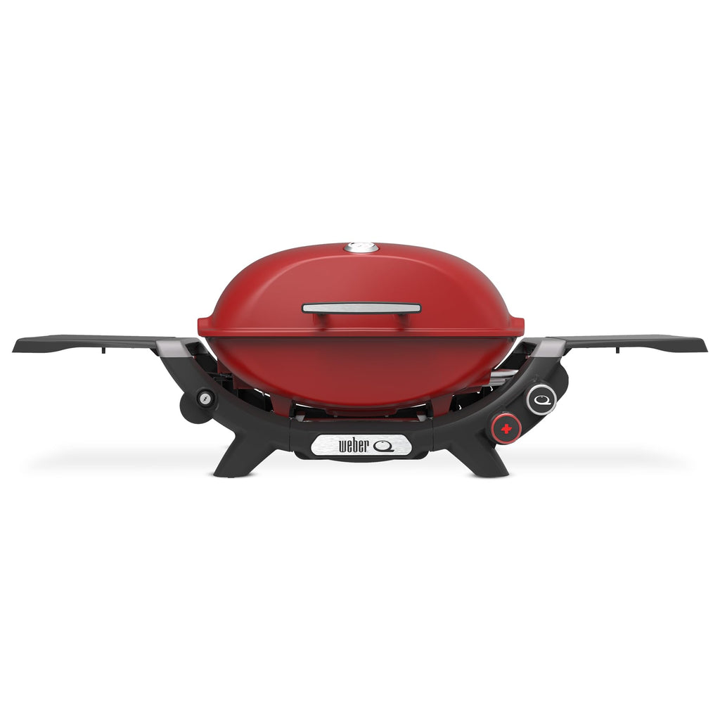 Portable Propane Grill M29313