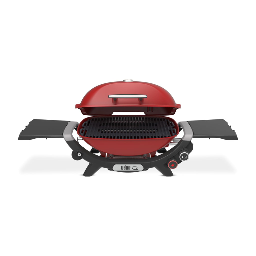 Portable Propane Grill M29313