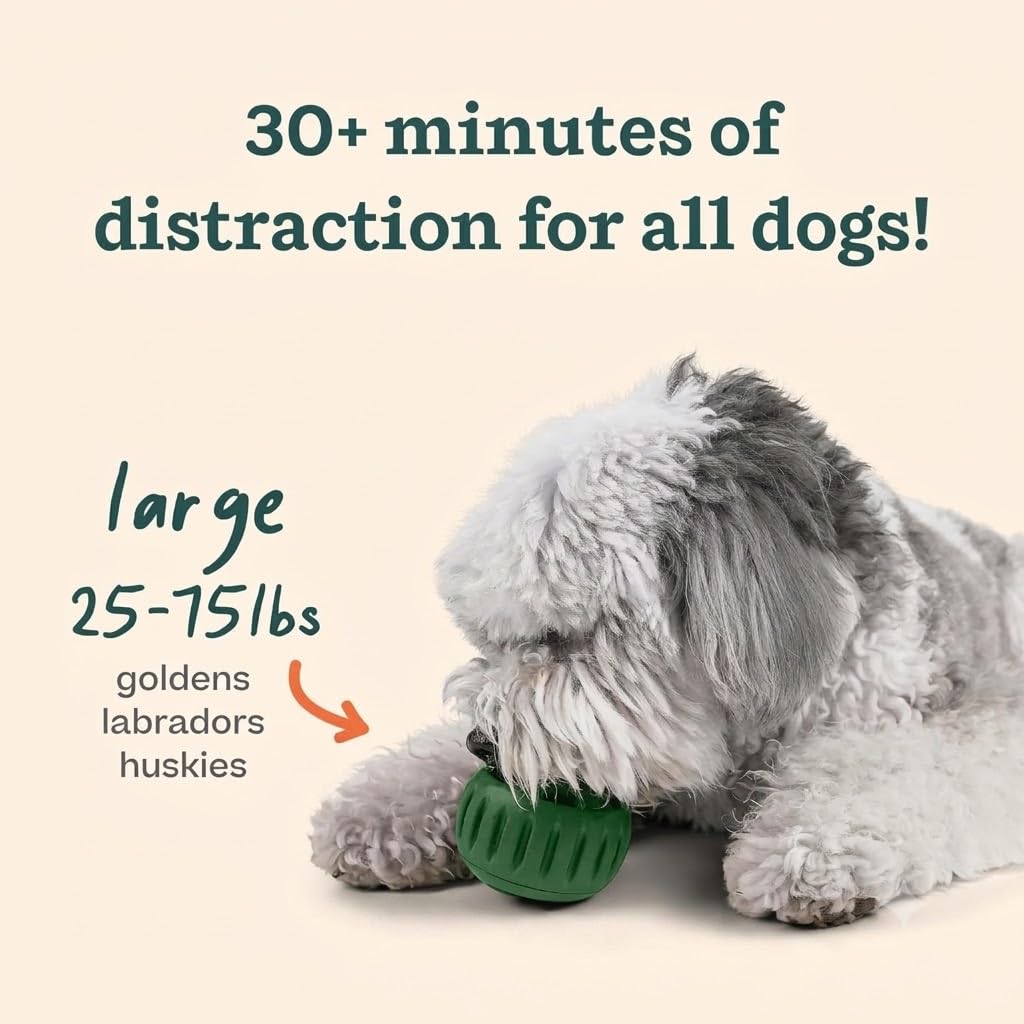 Dog Treat Toy for Large Dogs 25-75 lbs F985