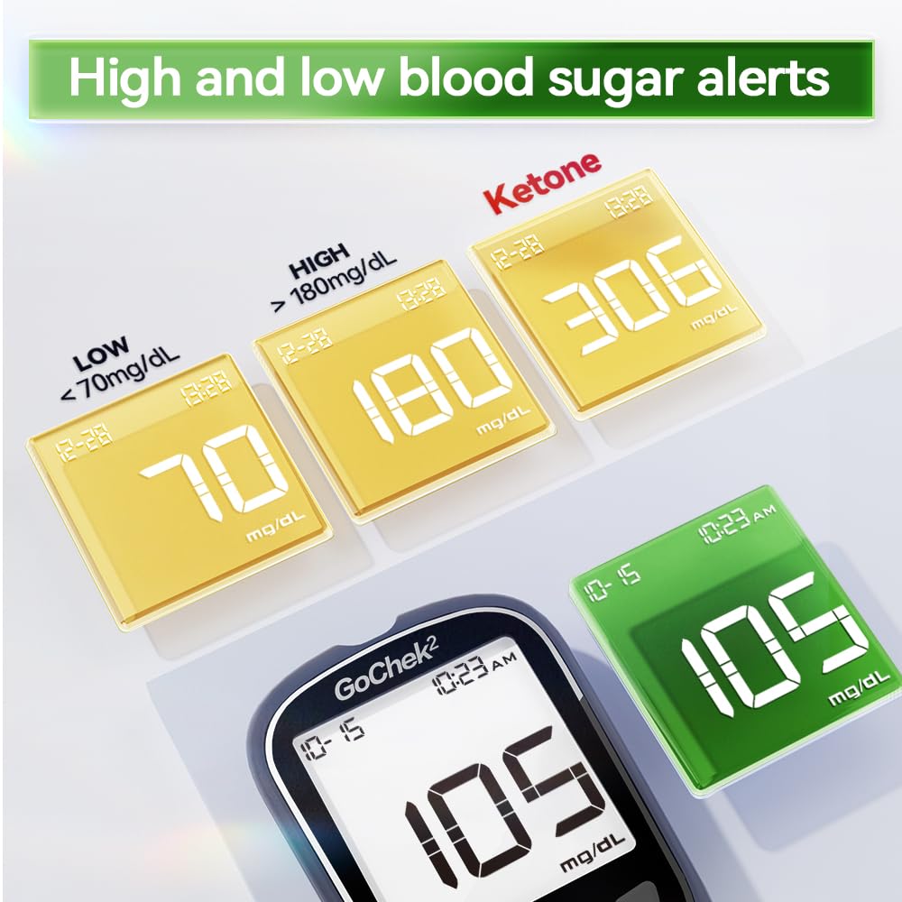 Blood Glucose Monitor Kit 100 Strips & Lancets W32271