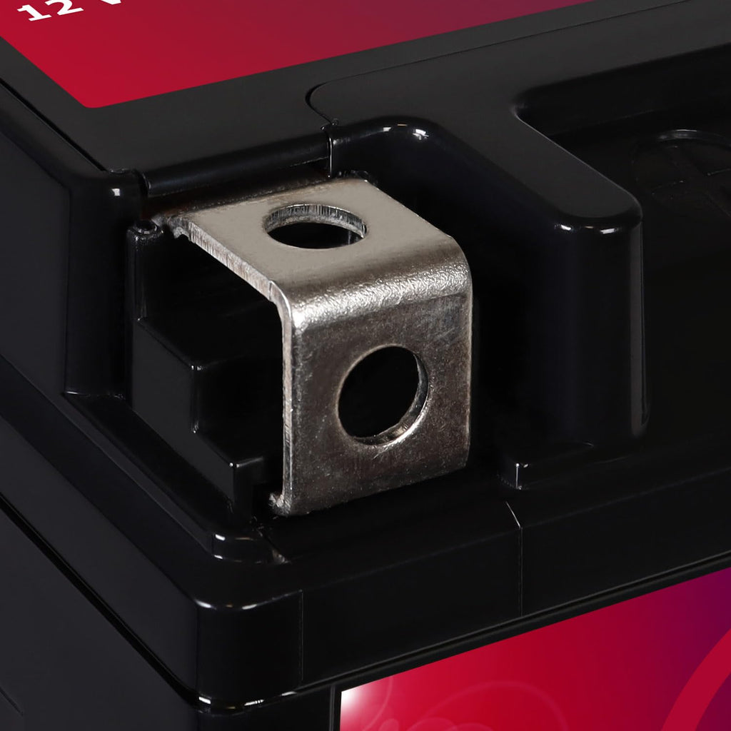 12V 11.2Ah Battery T99904