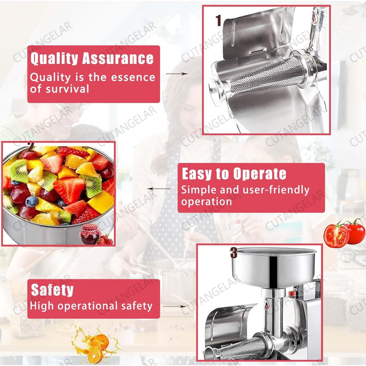 450W Stainless Steel Electric Sauce Strainer W93762