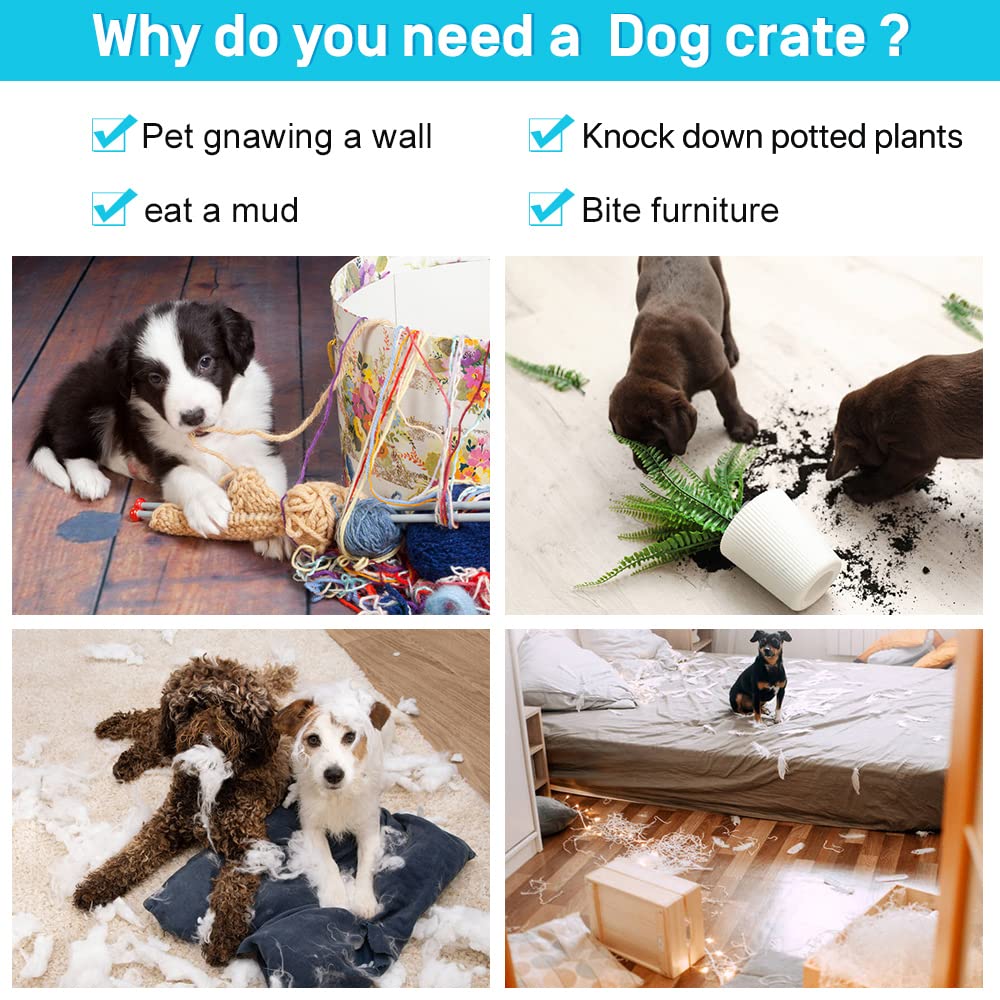 48" Heavy Duty Folding Wire Metal Dog Crate with Divider X506