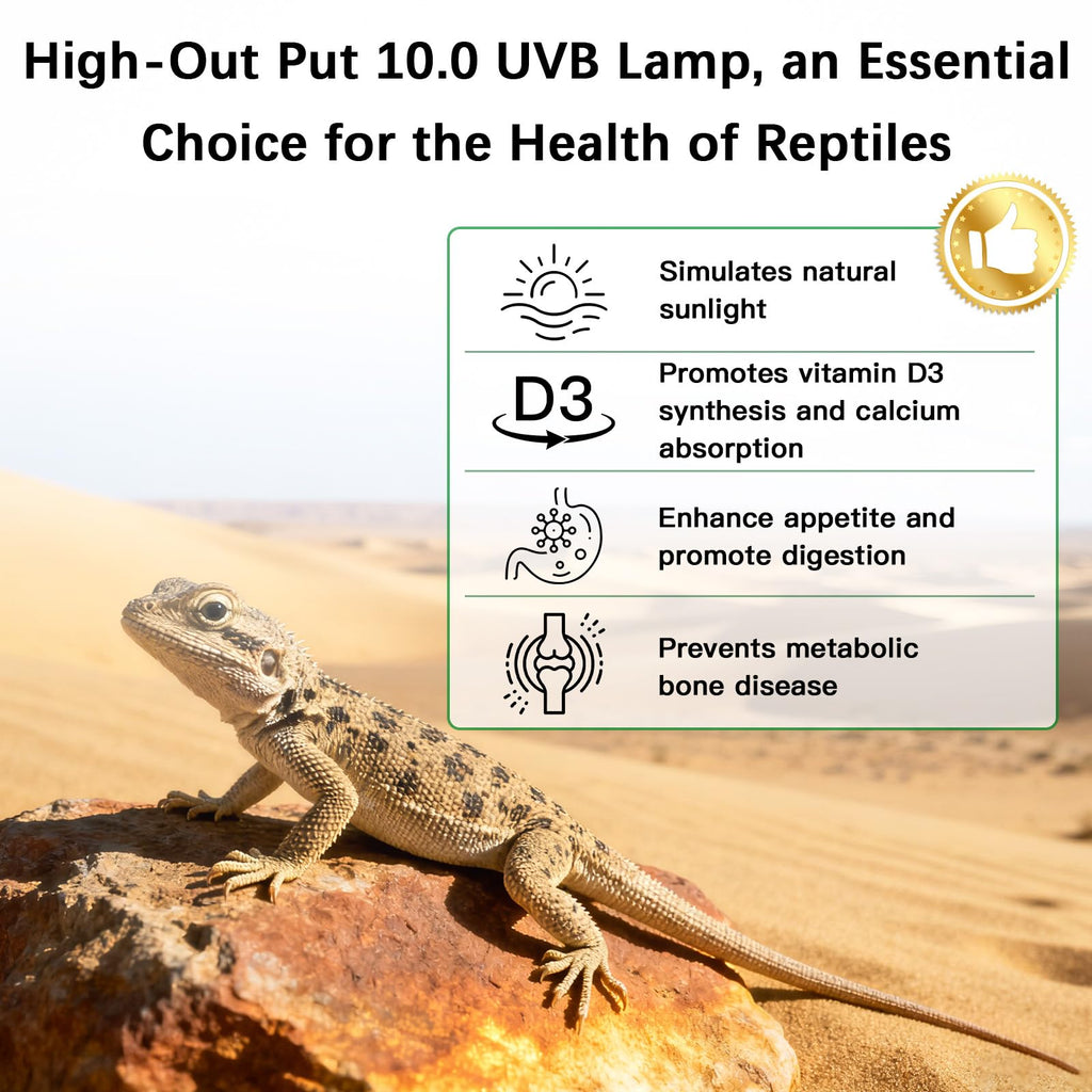 8W UVA UVB Reptile Light Fixture Combo Kit X82033