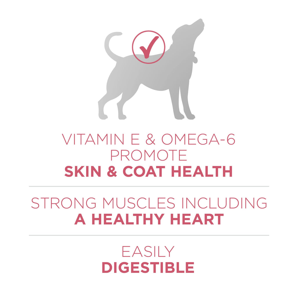 Sensitive Stomach Dry Dog Food 31.1 lb Bag P84938