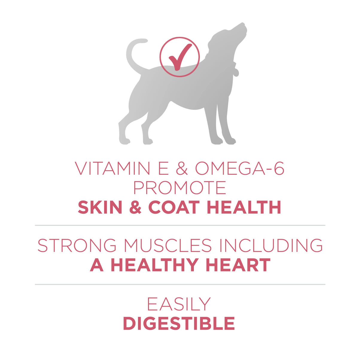 Sensitive Stomach Dry Dog Food 31.1 lb Bag P84938