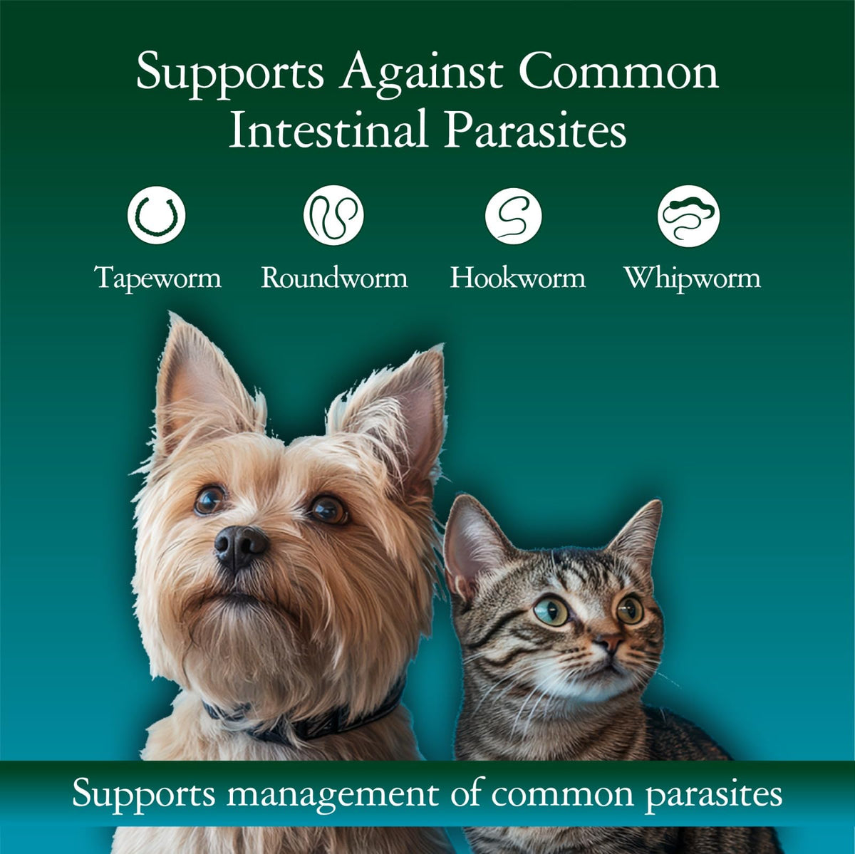 4 oz Vanilla Flavour Liquid Dog & Cat Dewormer with Syringe Z39419