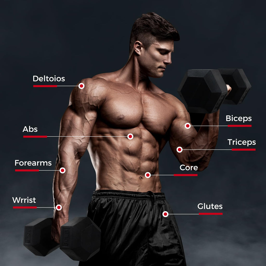 Rubber Coated Hex Dumbbell Set O3270