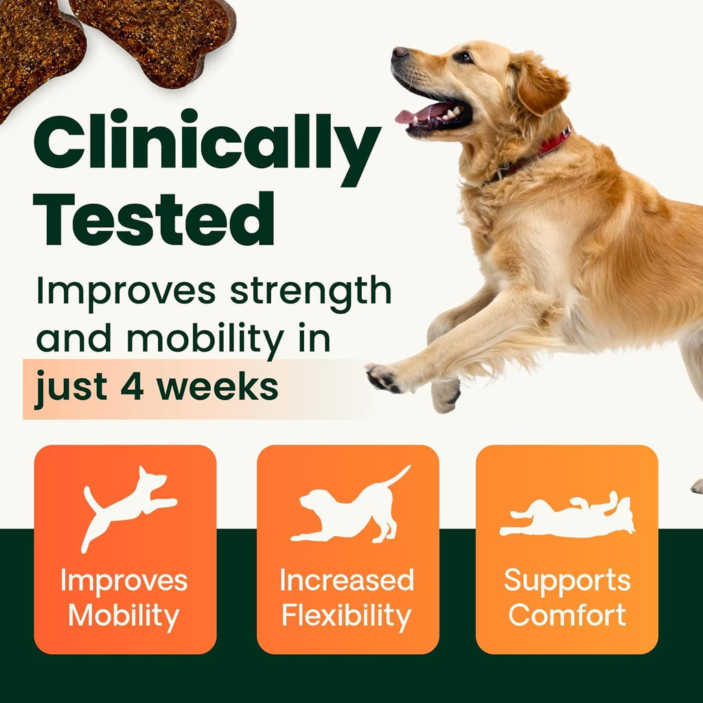 Chicken Hip & Joint Chews for Dogs, 120 Count M92435