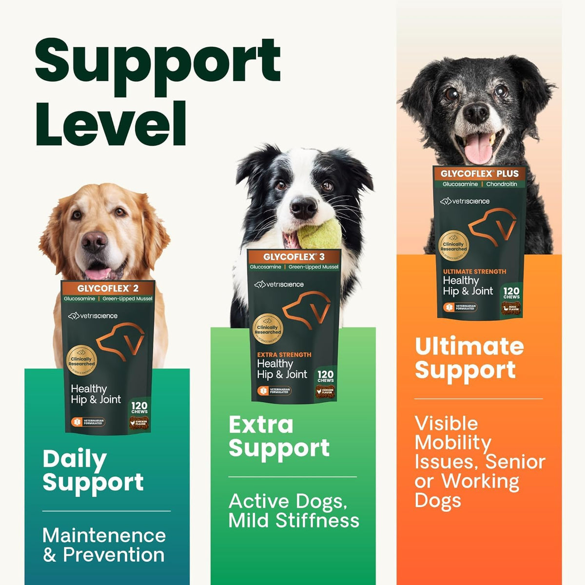 Chicken Hip & Joint Chews for Dogs, 120 Count M92435