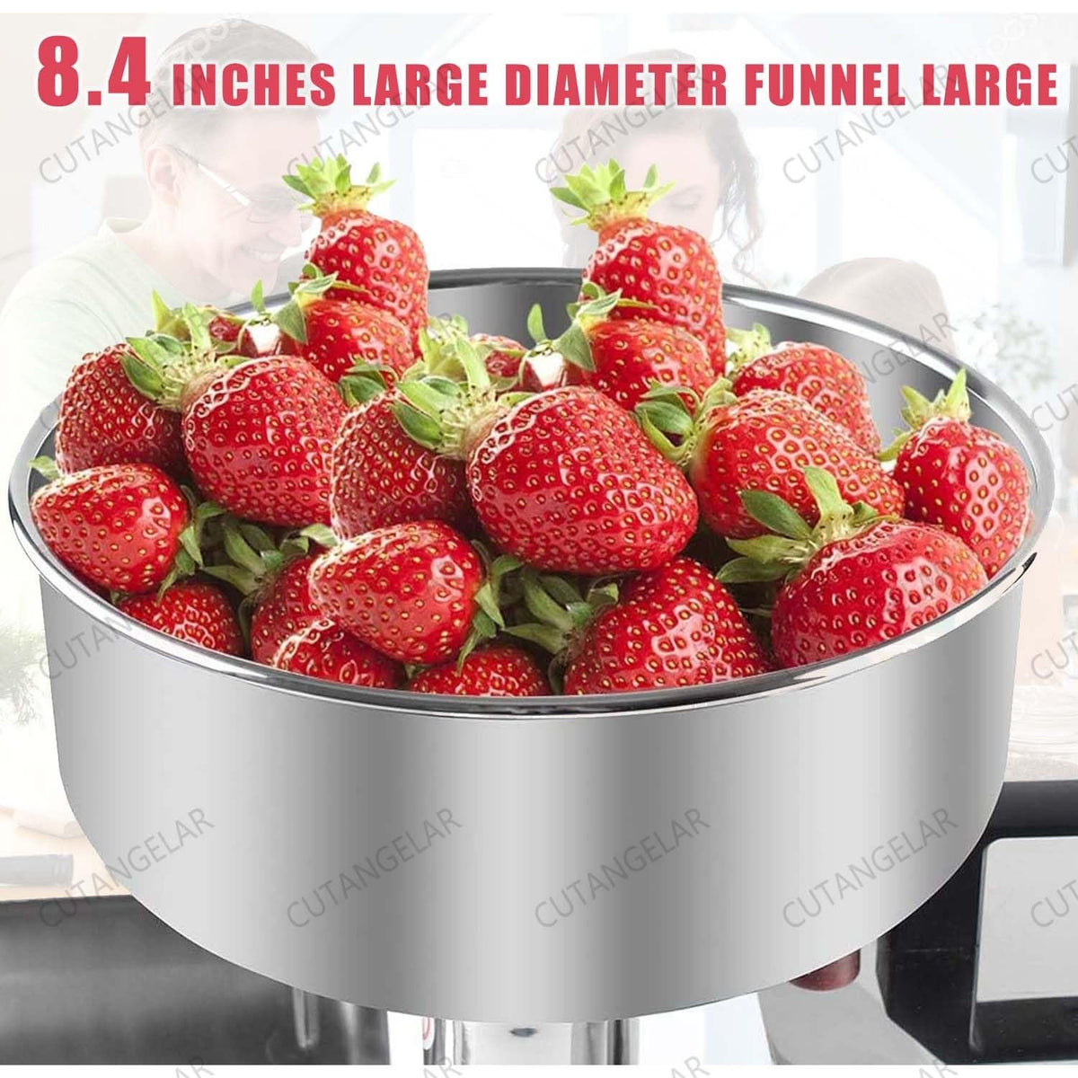 450W Stainless Steel Electric Sauce Strainer W93762