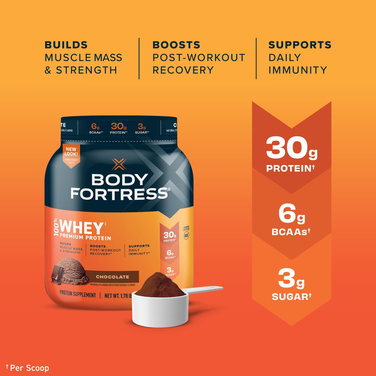 Chocolate Whey Protein Powder F58064