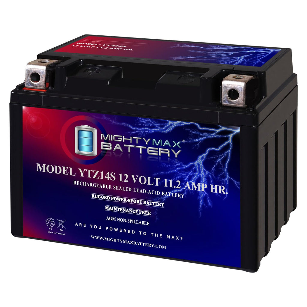 12V 11.2Ah Battery T99904