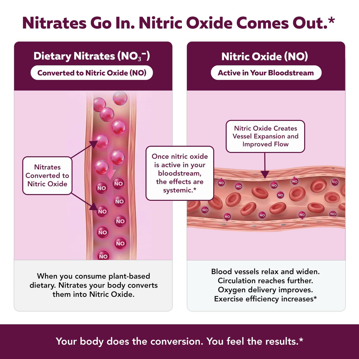Nitrate Supplement 135mg 90 Capsules H38535