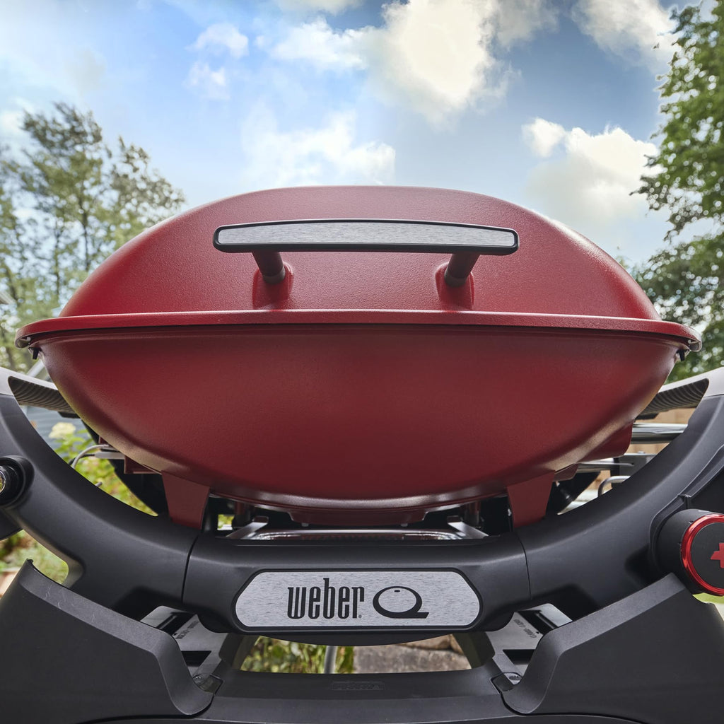 Portable Propane Grill M29313