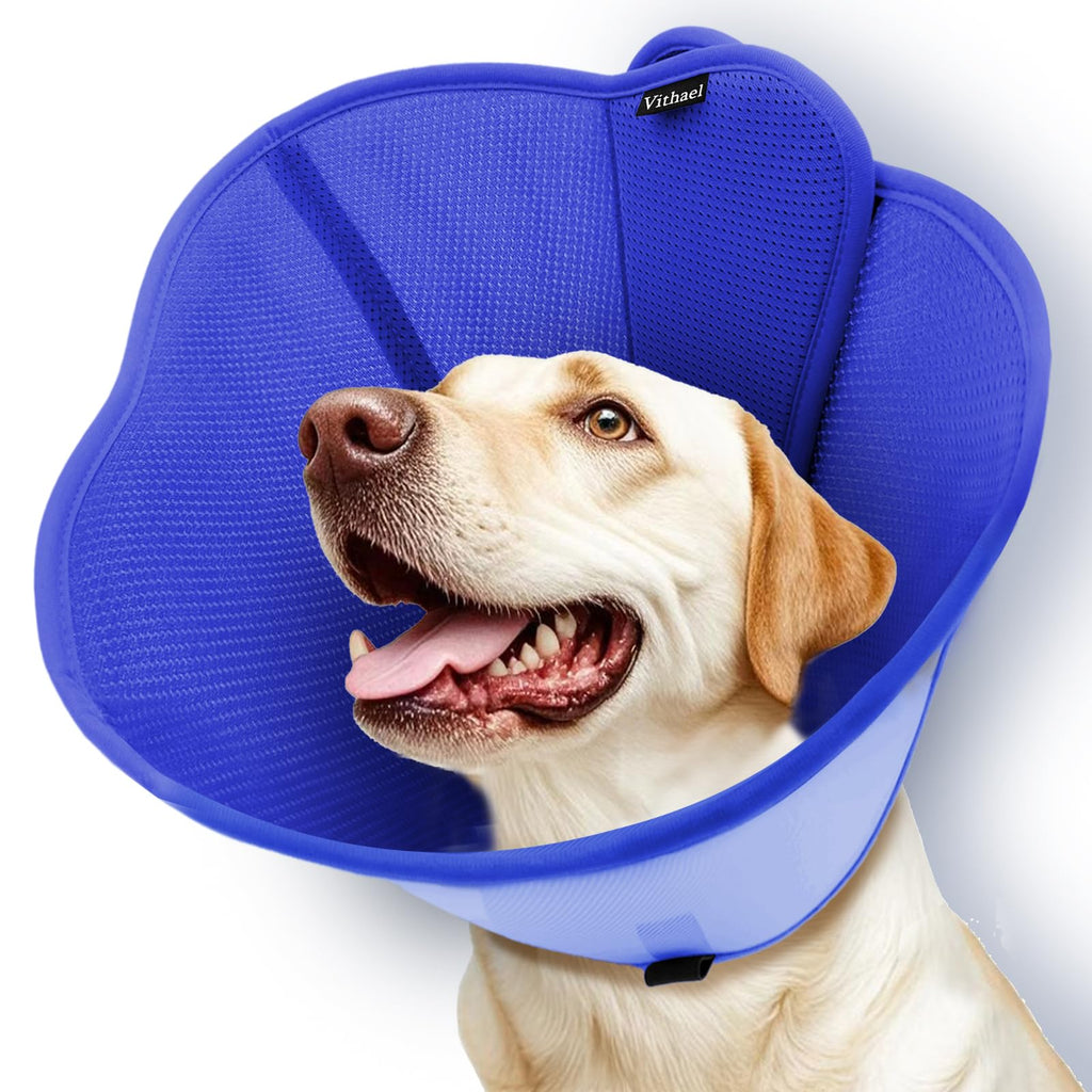 Soft Dog Cone Collar Z532747