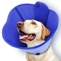 Soft Dog Cone Collar Z532747