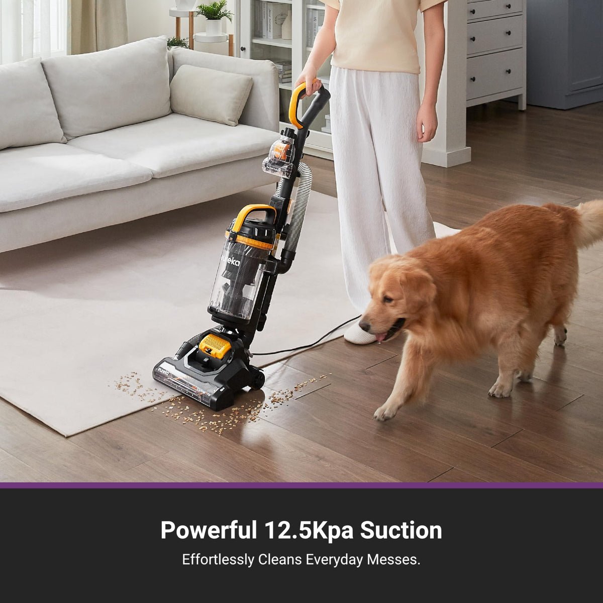 Lightweight Vacuum Cleaners D463