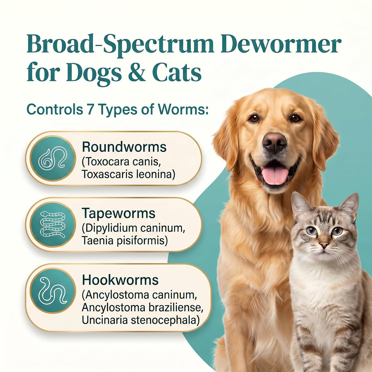 Dewormer for Dogs & Cats, 25 Chewable C238734