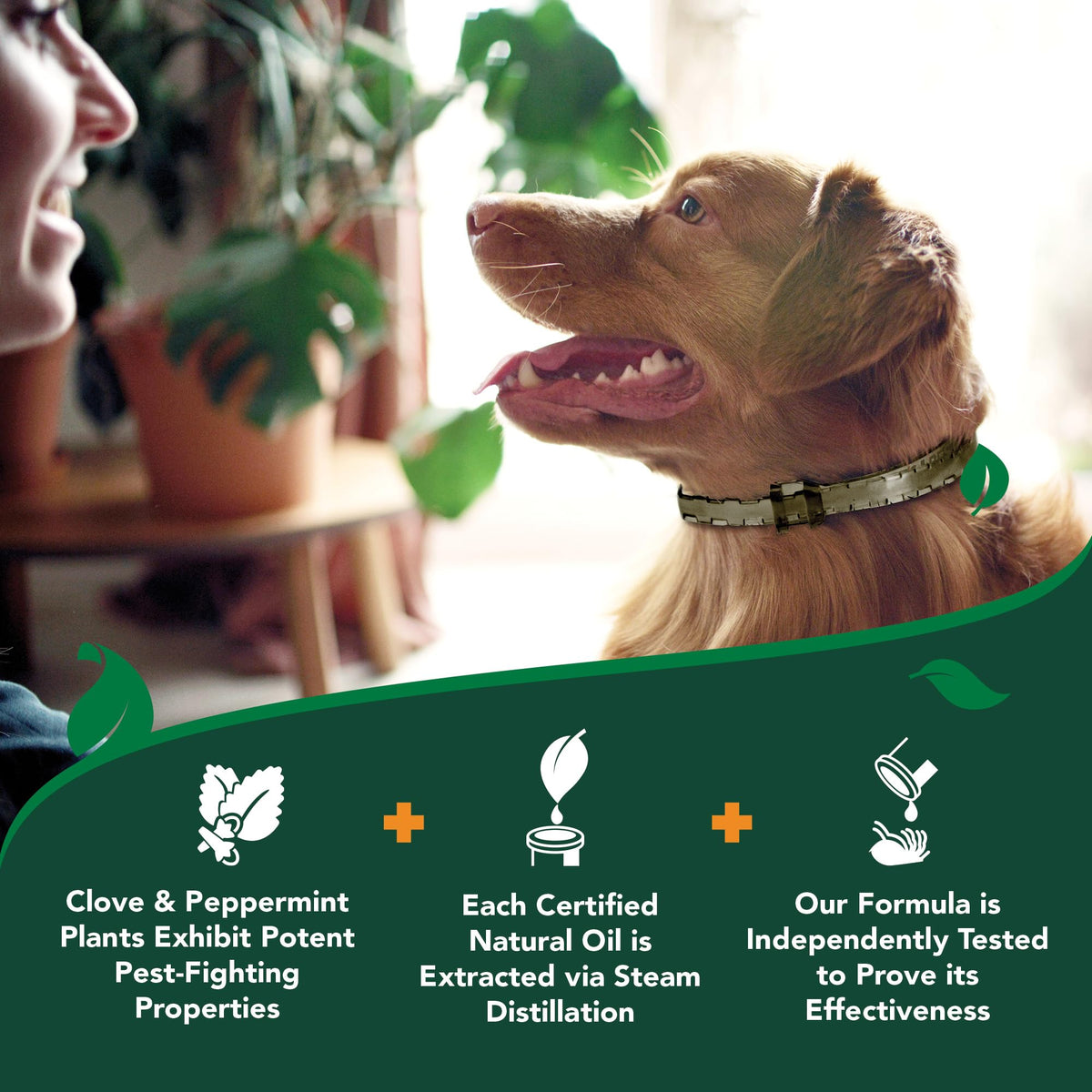 Plant-Based Flea & Tick Prevention Collar for Dogs D161