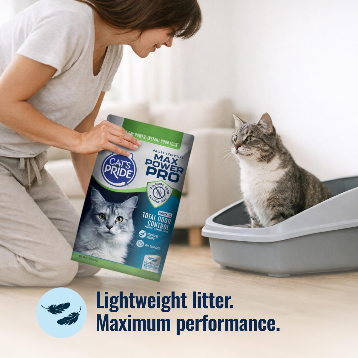 Unscented Clumping Litter 19lb H902