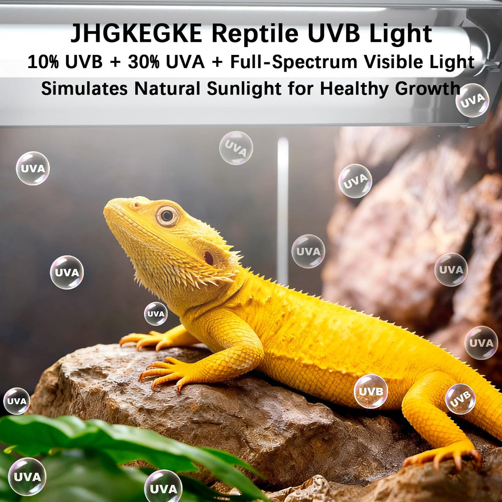 8W UVA UVB Reptile Light Fixture Combo Kit X82033
