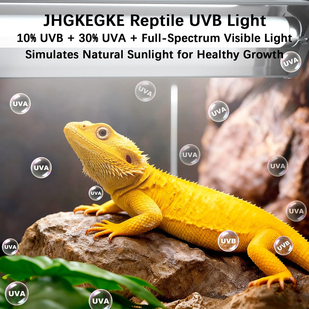 8W UVA UVB Reptile Light Fixture Combo Kit X82033
