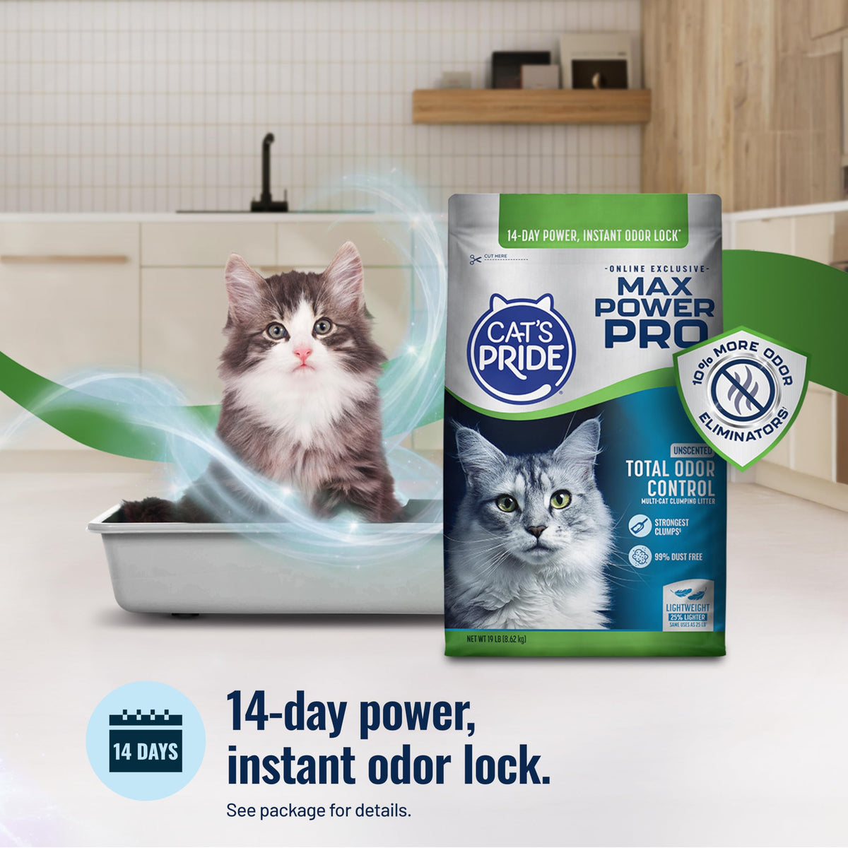 Unscented Clumping Litter 19lb H902