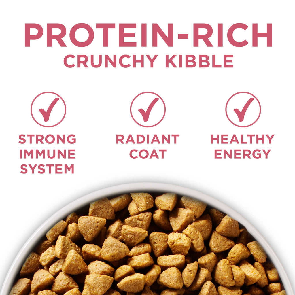 Sensitive Stomach Dry Dog Food 31.1 lb Bag P84938