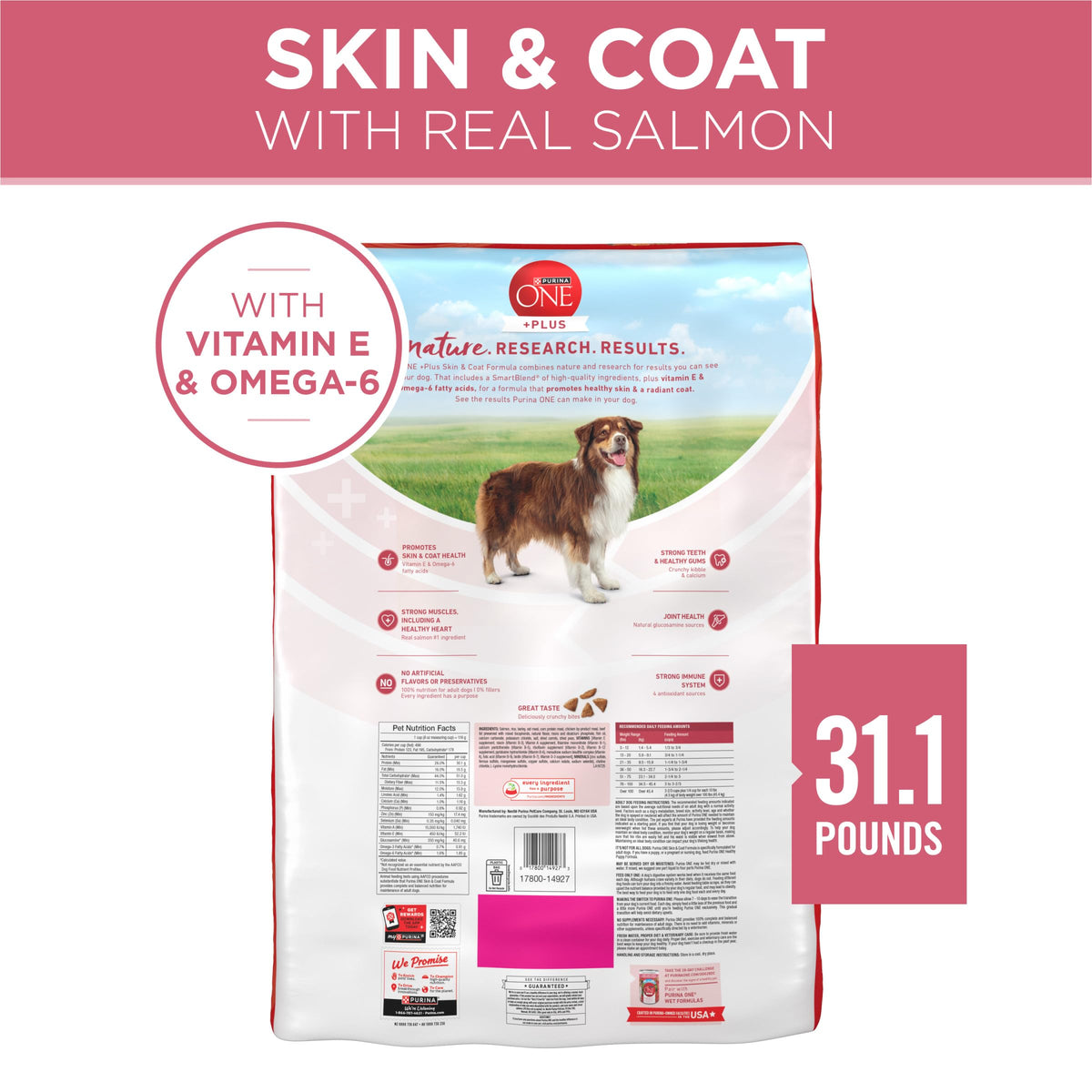 Sensitive Stomach Dry Dog Food 31.1 lb Bag P84938