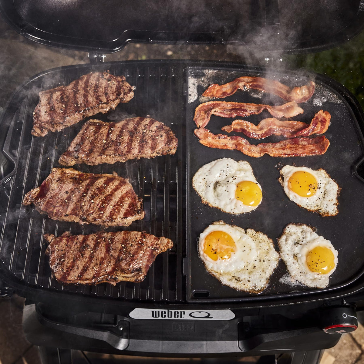 Portable Propane Grill M29313