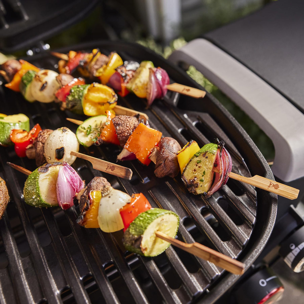 Portable Propane Grill M29313
