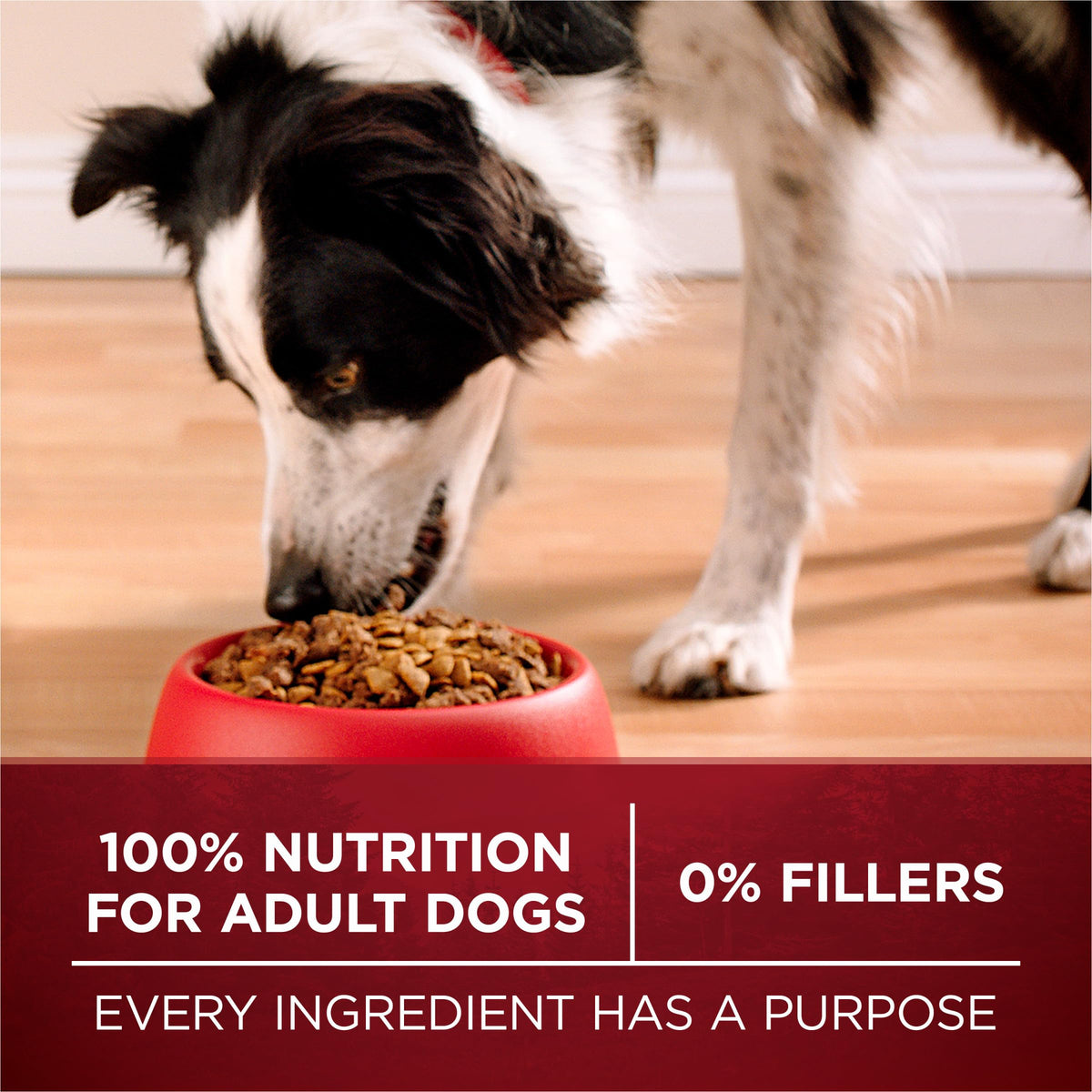 High Protein Chicken & Duck Dog Food O27632