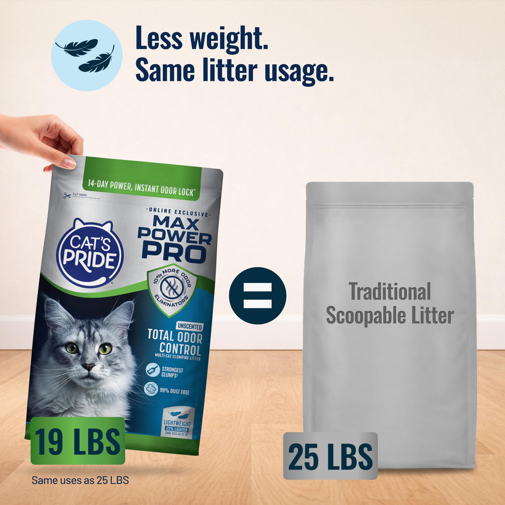 Unscented Clumping Litter 19lb H902